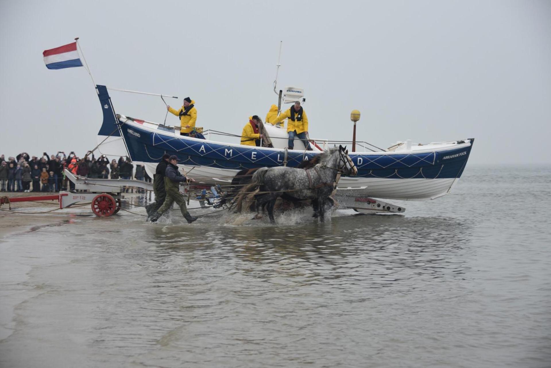 بورين Chalet Zeester J38 Ameland المظهر الخارجي الصورة