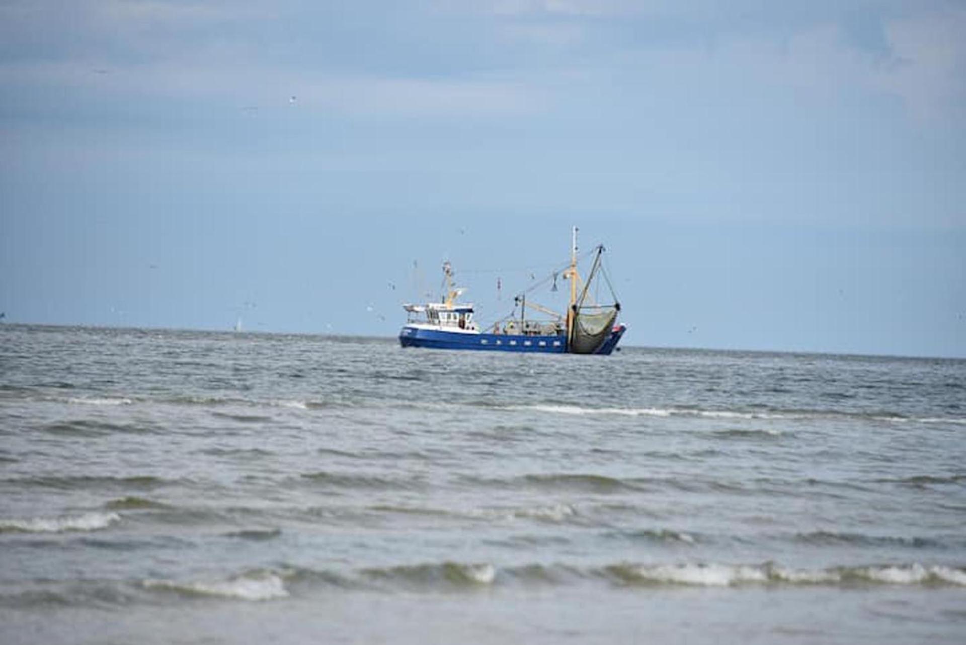 بورين Chalet Zeester J38 Ameland المظهر الخارجي الصورة